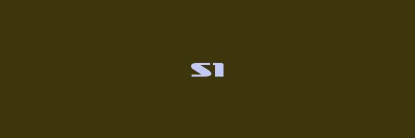S1 Logo