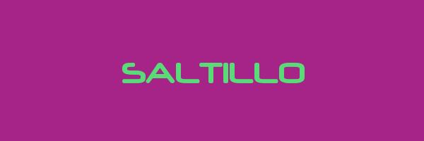 SALTILLO Logo