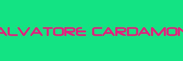 SALVATORE CARDAMONE Logo