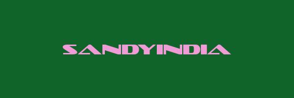 SANDYINDIA Logo