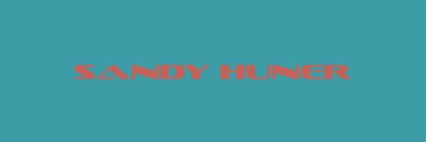 SANDY HUNER Logo