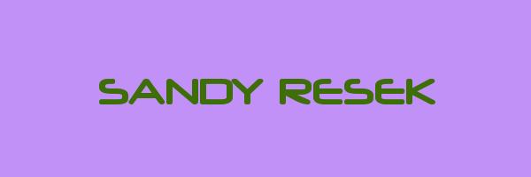 SANDY RESEK Logo