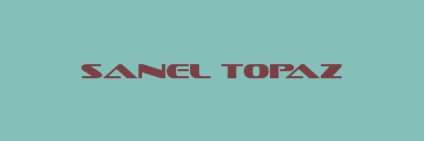 SANEL TOPAZ Logo