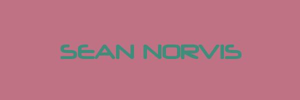 SEAN NORVIS Logo