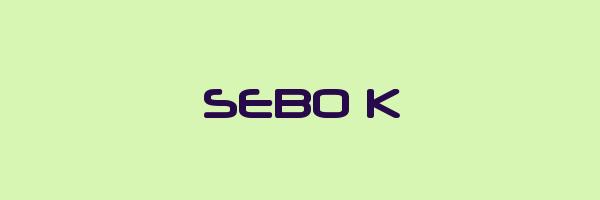 SEBO K Logo