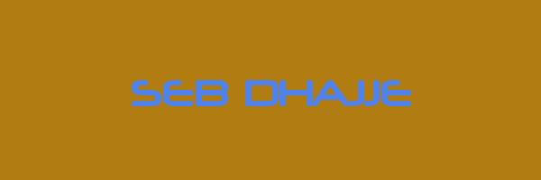 SEB DHAJJE Logo