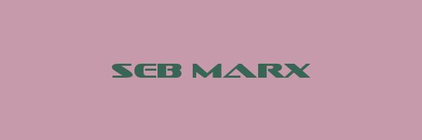 SEB MARX Logo