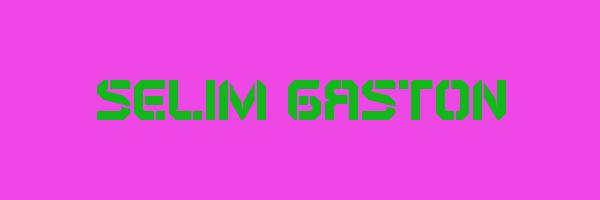SELIM GASTON Logo