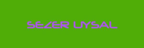 SEZER UYSAL Logo