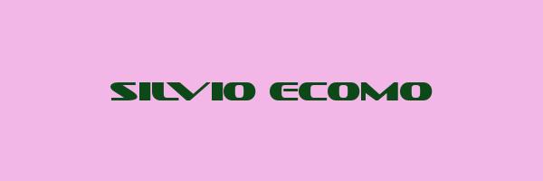 SILVIO ECOMO Logo