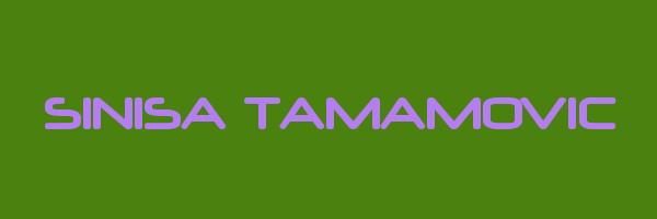 SINISA TAMAMOVIC Logo