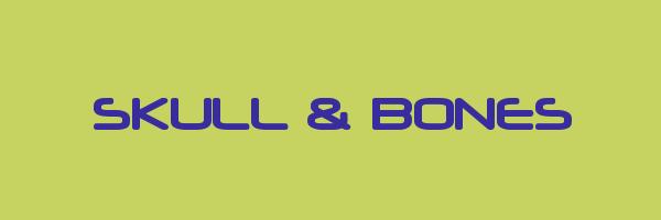SKULL & BONES Logo