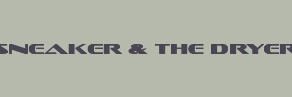 SNEAKER & THE DRYER Logo