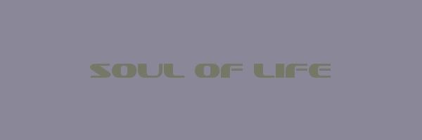 SOUL OF LIFE Logo