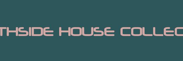 SOUTHSIDE HOUSE COLLECTIVE Logo