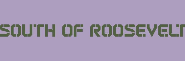 SOUTH OF ROOSEVELT Logo