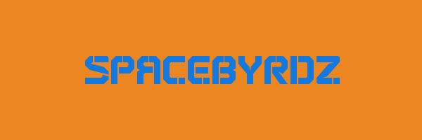 SPACEBYRDZ Logo