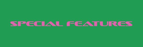 SPECIAL FEATURES Logo