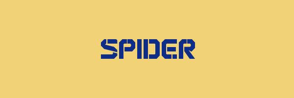 SPIDER Logo