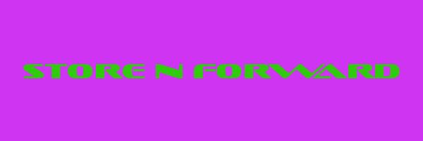 STORE N FORWARD Logo