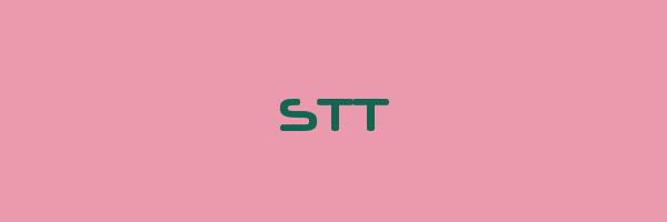 STT Logo