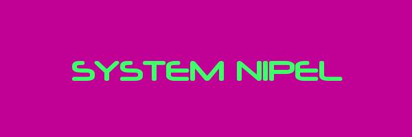 SYSTEM NIPEL Logo