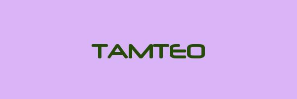 TAMTEO Logo