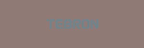 TEBRON Logo