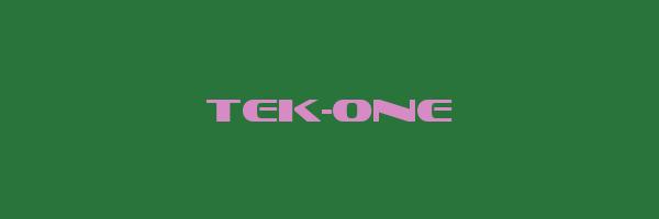 TEK-ONE Logo