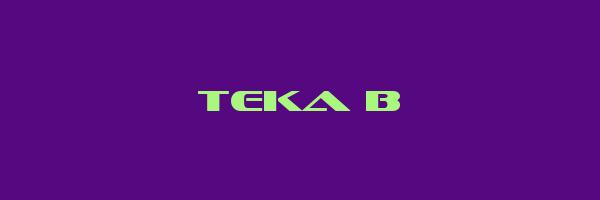 TEKA B Logo