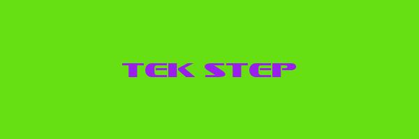 TEK STEP Logo