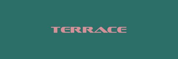 TERRACE Logo