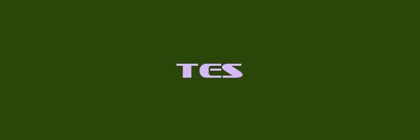 TES Logo