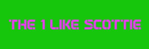 THE 1 LIKE SCOTTIE Logo