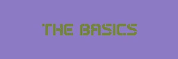 THE BASICS Logo