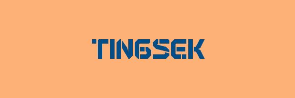 TINGSEK Logo