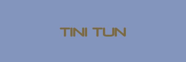 TINI TUN Logo