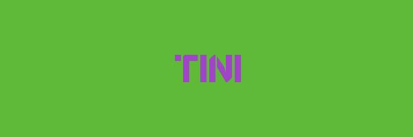 TINI Logo
