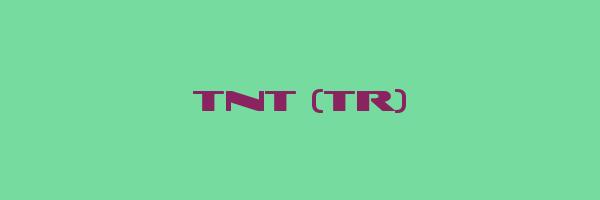 TNT (TR) Logo