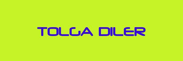 TOLGA DILER Logo