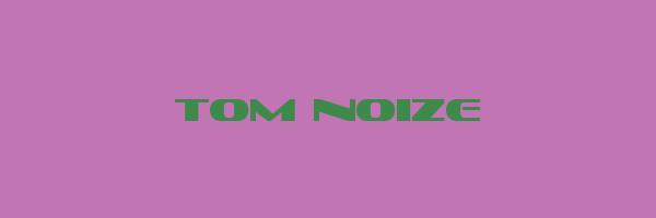 TOM NOIZE Logo