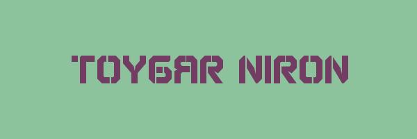 TOYGAR NIRON Logo