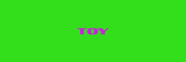TOY Logo