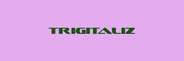 TRIGITALIZ Logo