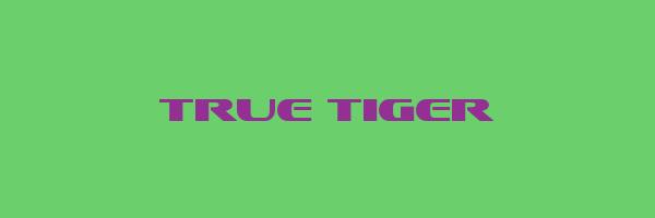 TRUE TIGER Logo