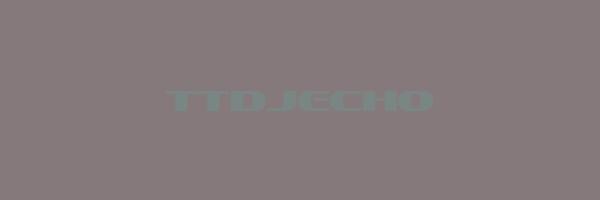 TTDJECHO Logo