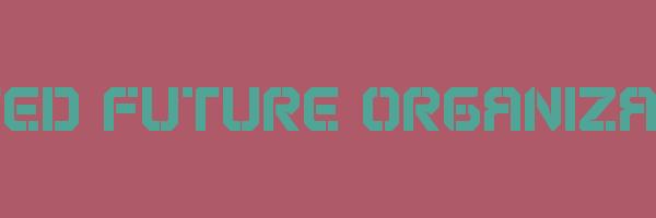 UNITED FUTURE ORGANIZATION Logo