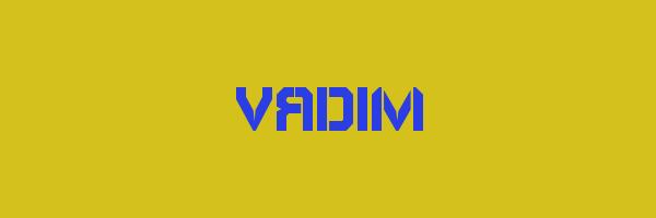 VADIM Logo