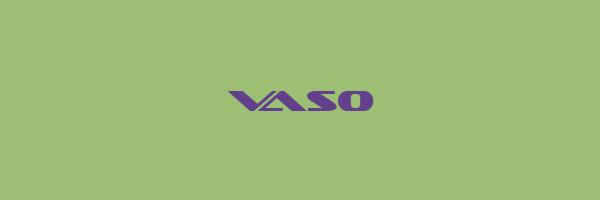 VASO Logo