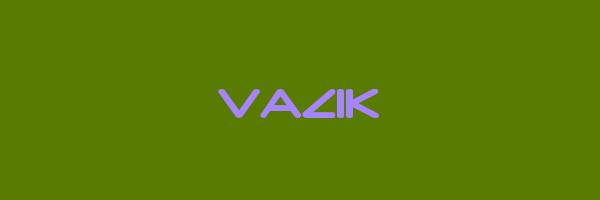 VAZIK Logo